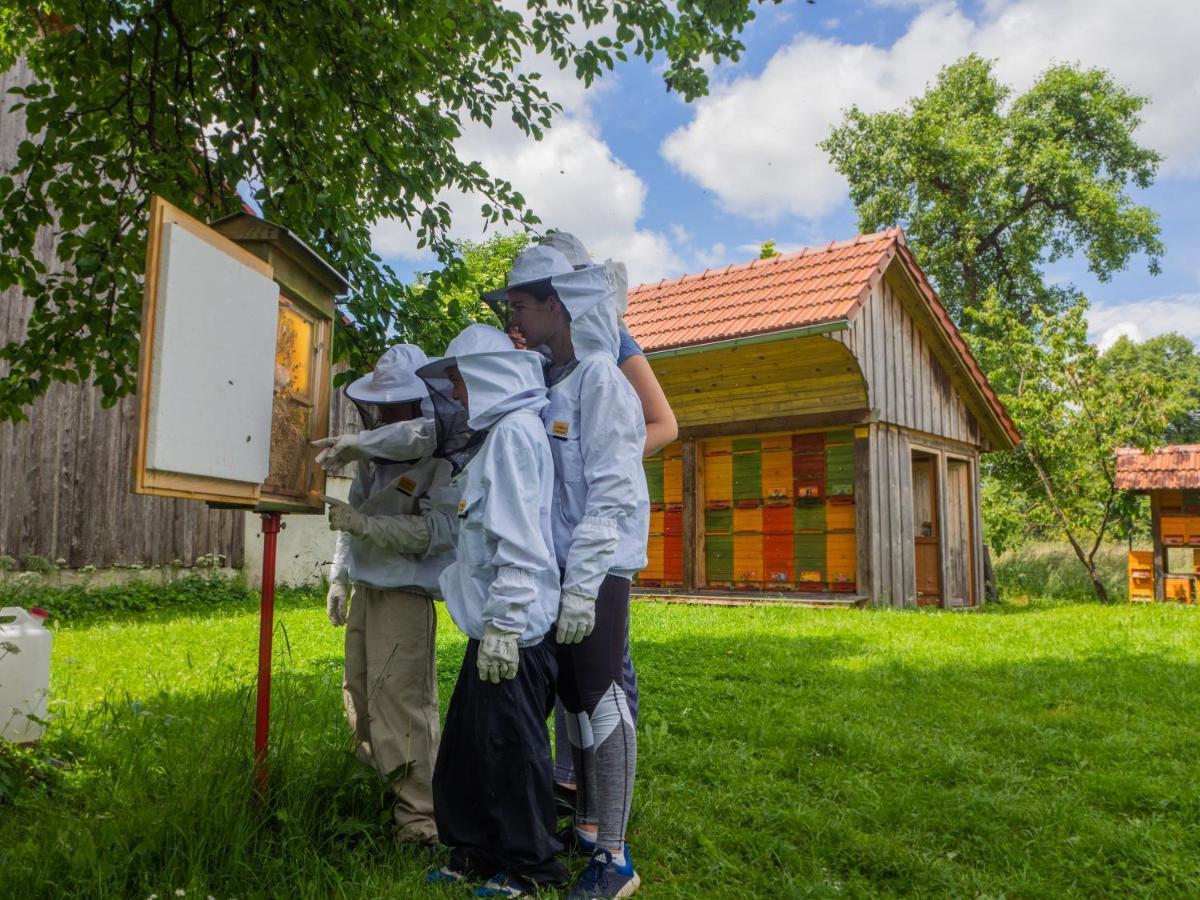 Beekeeping Kojek Apartamento Ribnica Exterior foto