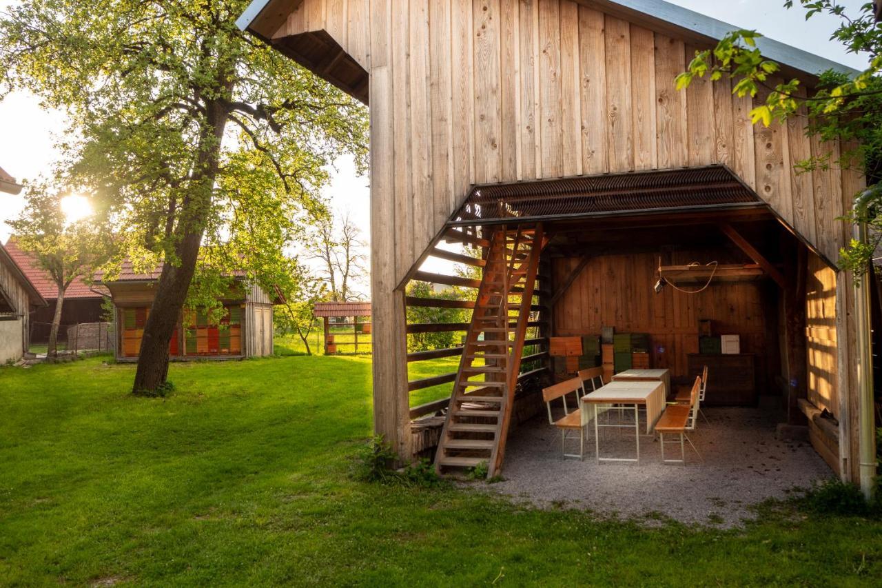 Beekeeping Kojek Apartamento Ribnica Exterior foto